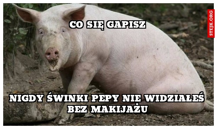 co się gapisz