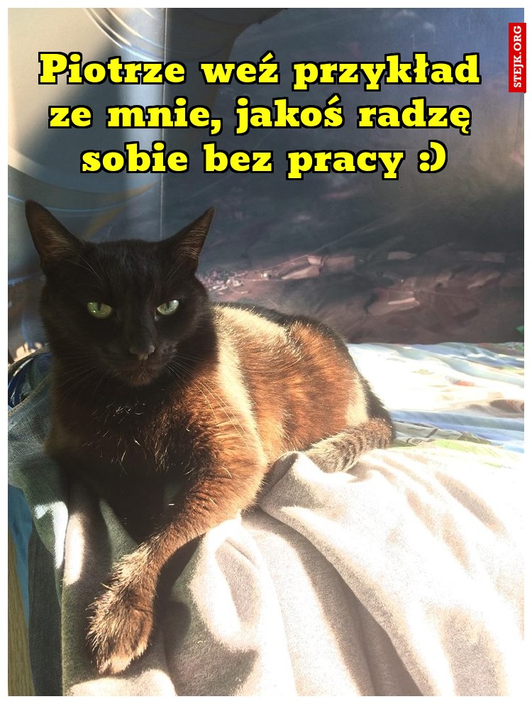 Piotrze weź przykład ze mnie, jakoś radzę sobie bez pracy :)