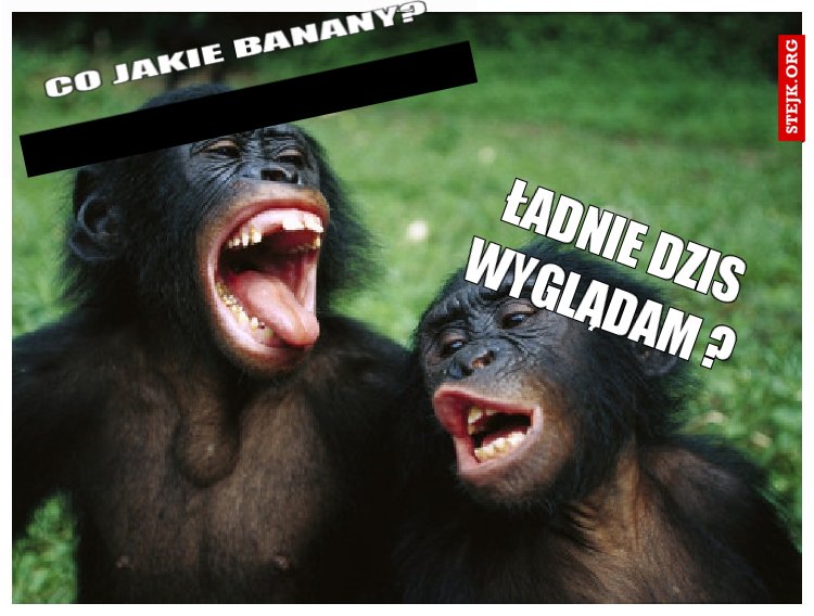 Ładnie dziś wyglądam ?