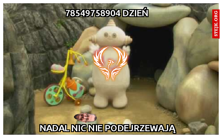 78549758904 DZIEŃ