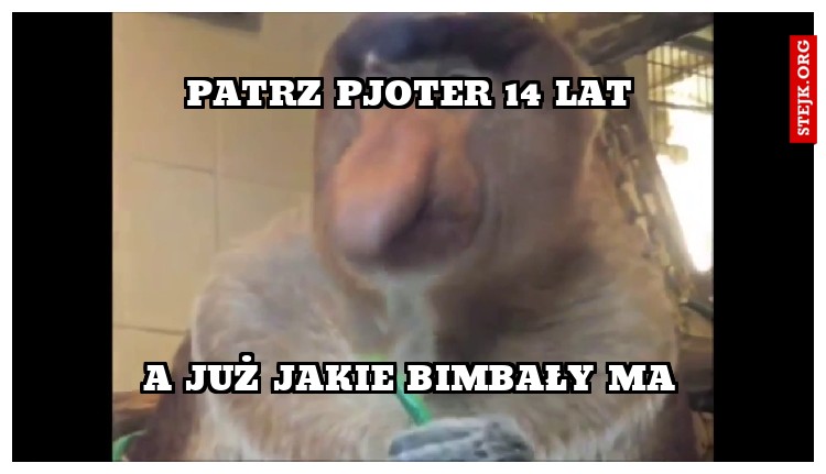 Patrz pjoter 14 lat