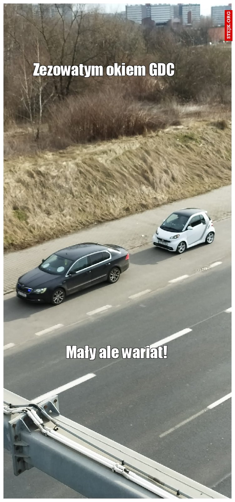 Mały ale wariat!