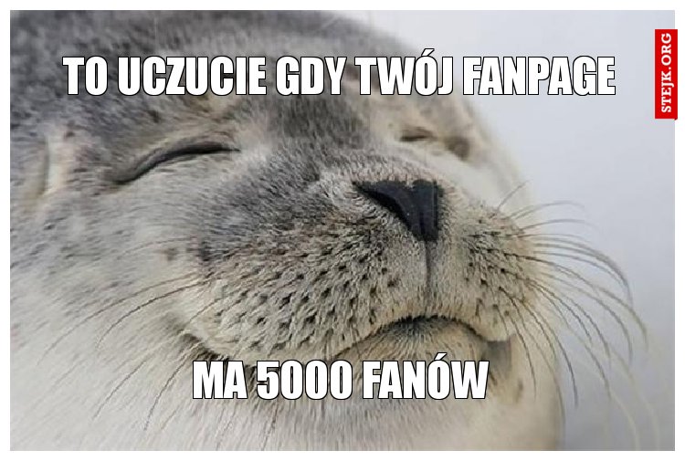 to uczucie gdy Twój fanpage