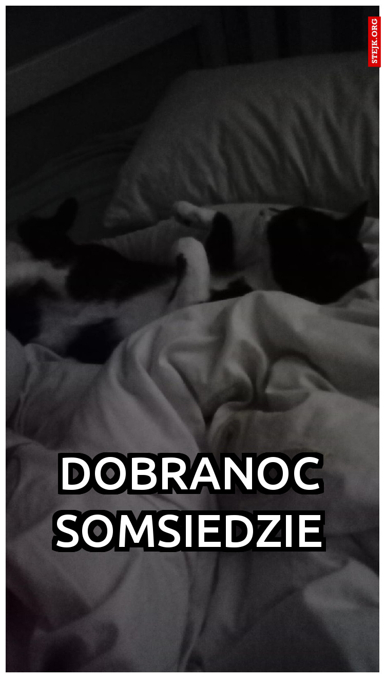 Dobranoc Somsiedzie