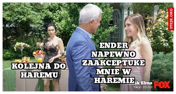 Kolejna do haremu