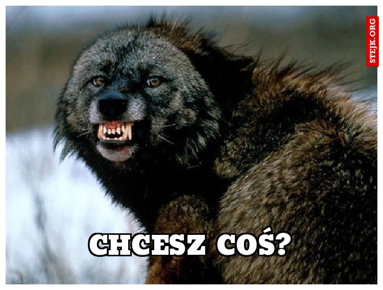 chcesz coś?