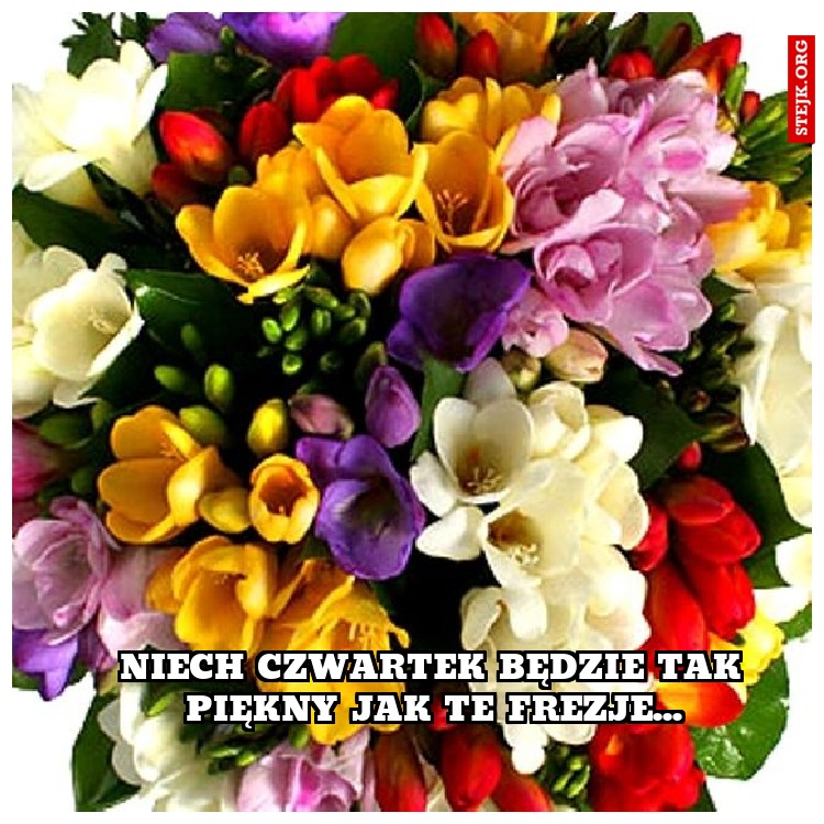 niech czwartek będzie tak piękny jak te frezje...