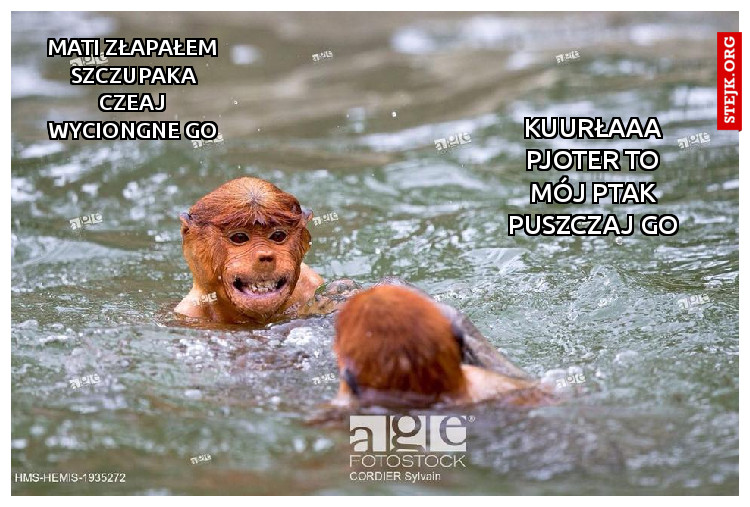Mati złapałem szczupaka czeaj wyciongne go