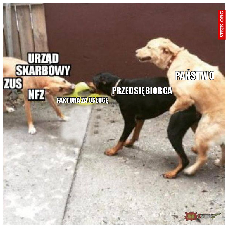 Państwo