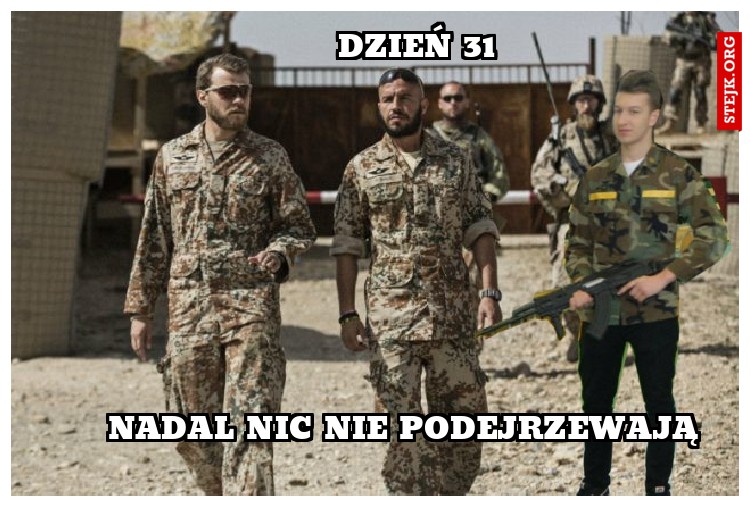 Dzień 31 