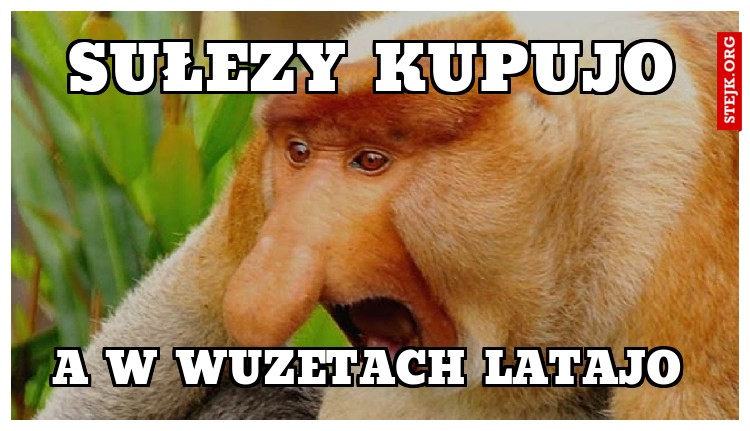 Sułezy kupujo