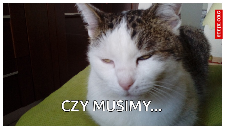 czy musimy...
