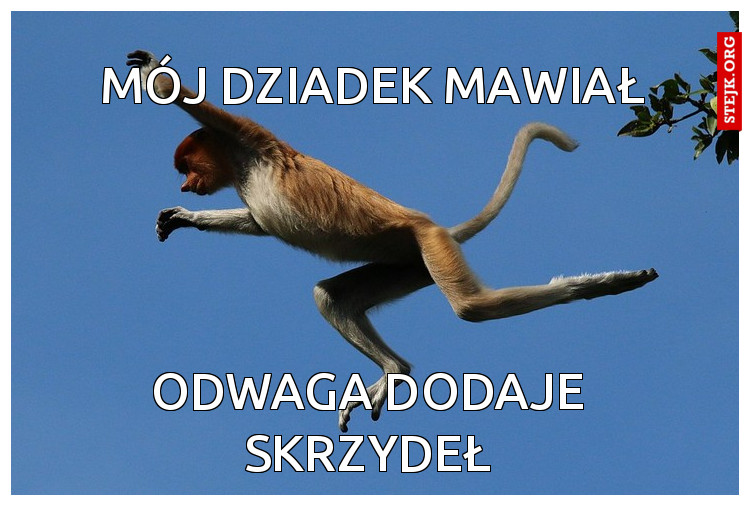 Mój dziadek mawiał