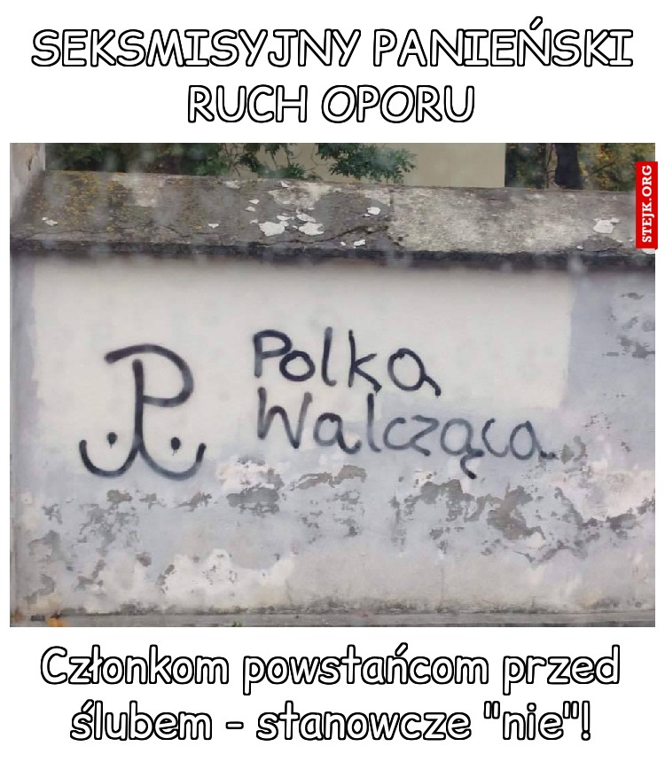Seksmisyjny panieński ruch oporu