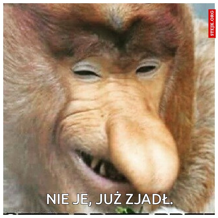 Nie je, już zjadł. 