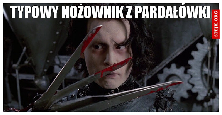 typowy nożownik z pardałówki