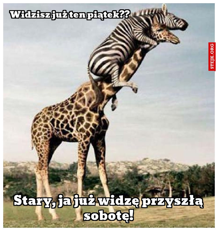 Widzisz już ten piątek??