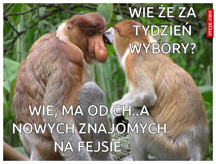Wie że za tydzień wybory?