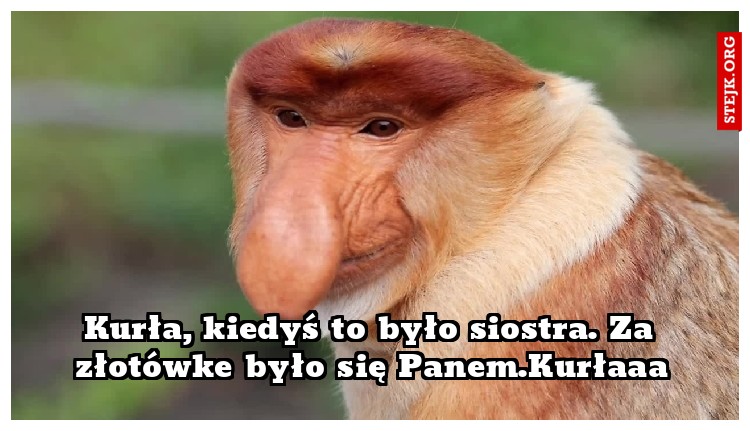 Kurła, kiedyś to było siostra. Za złotówke było się Panem.Kurłaaa