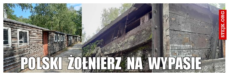 polski  żołnierz  na  wypasie