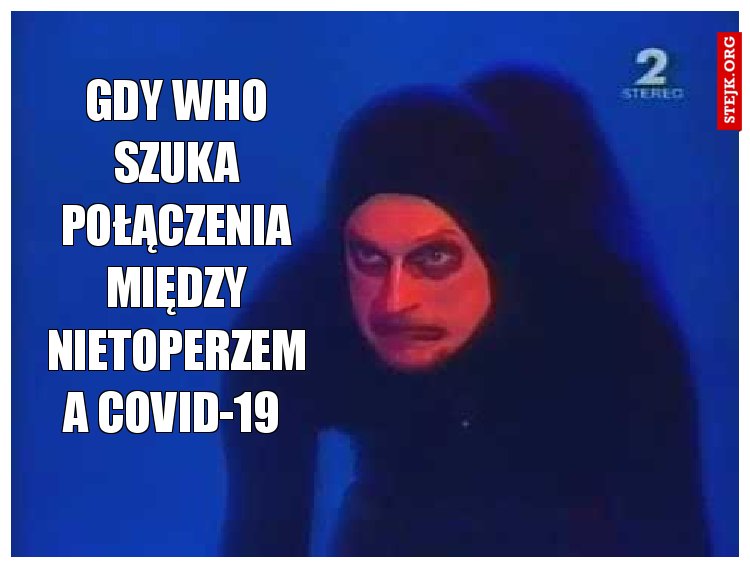 Gdy WHO szuka połączenia między nietoperzem a COVID-19 