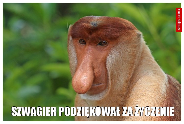 SZWAGIER PODZIĘKOWAŁ zA ŻYCZENIE 
