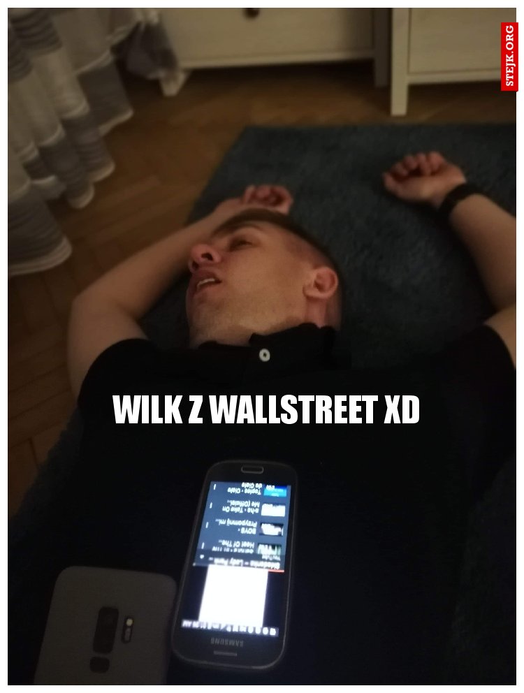 Wilk z wallstreet xd
