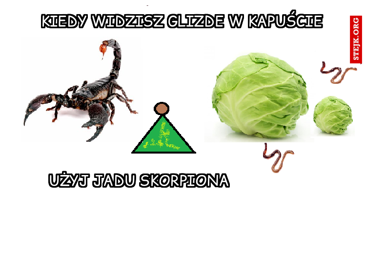 kIEDY WIDZISZ GLIZDE W KAPUŚCIE