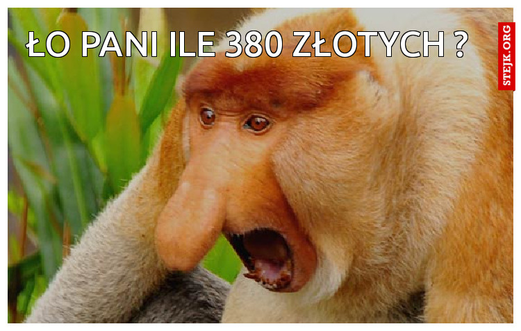 Ło pani ile 380 złotych ?