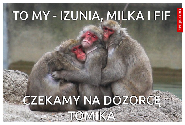 to my - Izunia, Milka i Fif