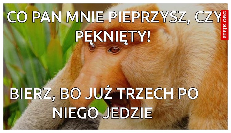 Co mnie pan pieprzysz cze pęknięty! 