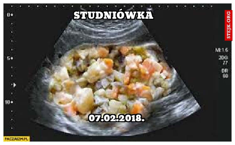 studniówka