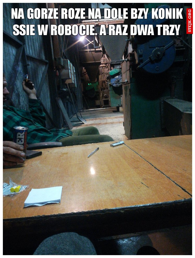Na gorze roze na dole bzy konik ssie w robocie. A raz dwa trzy