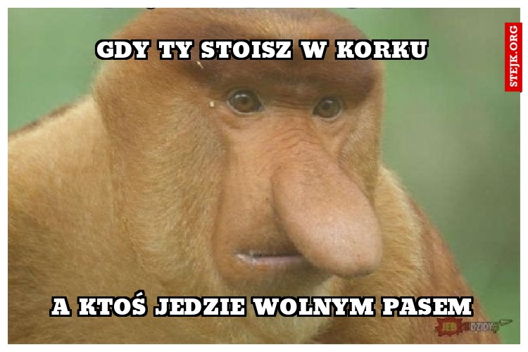 GDY TY STOISZ W KORKU