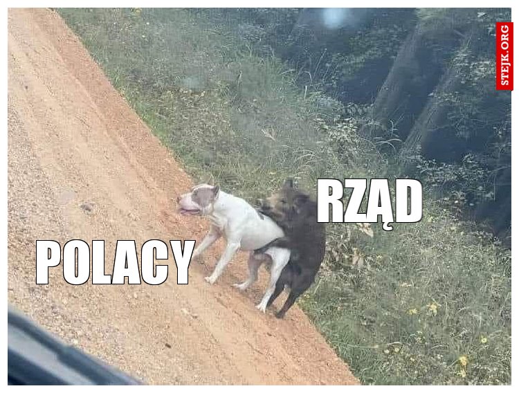 RZĄD