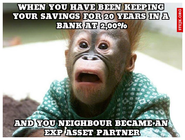 WHEN YOU HAVE BEEN KEEPING YOUR SAVINGS FOR 20 YEARS IN A BANK AT 2,00%