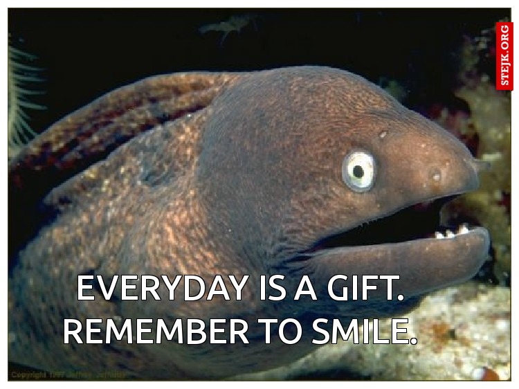 EVERYDAY IS A GIFT. DON'T FORGET TO SMILE.