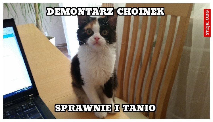 DEMONTARZ CHOINEK