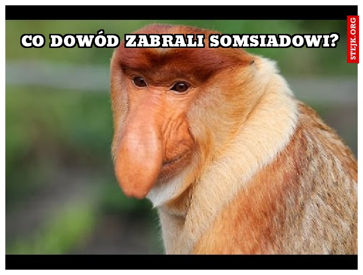 Co dowód zabrali somsiadowi?