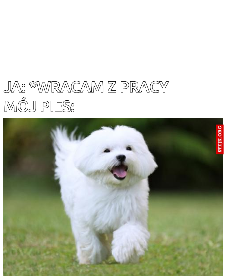Ja: *wracam z pracy