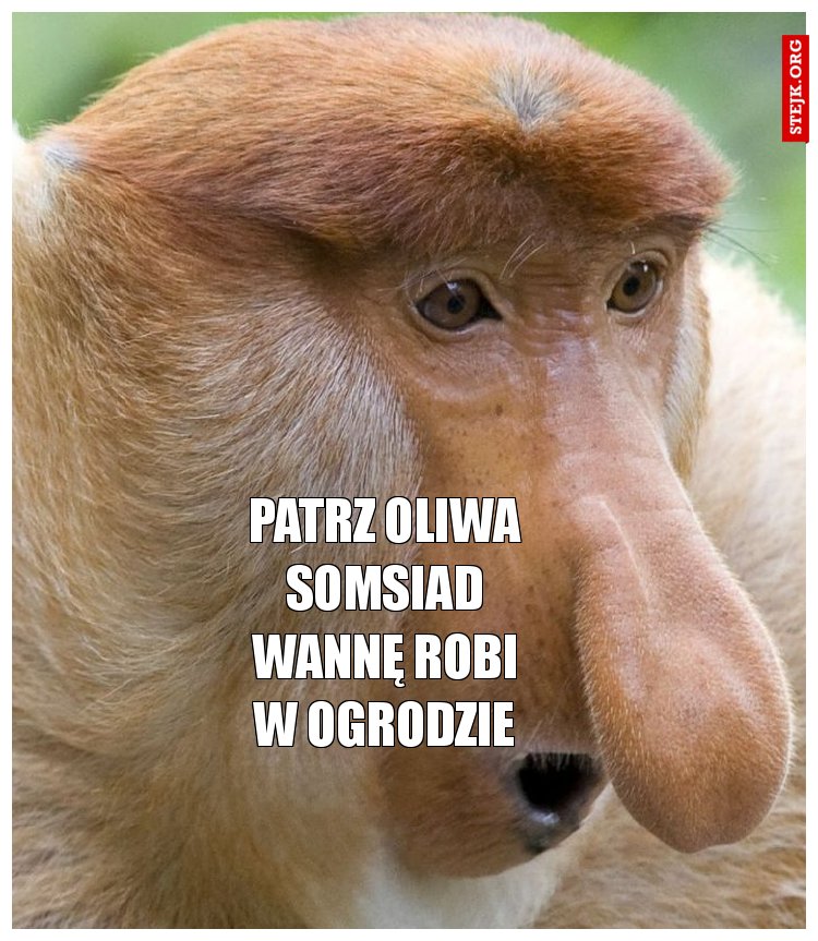 Patrz Oliwa somsiad wannę robi w ogrodzie