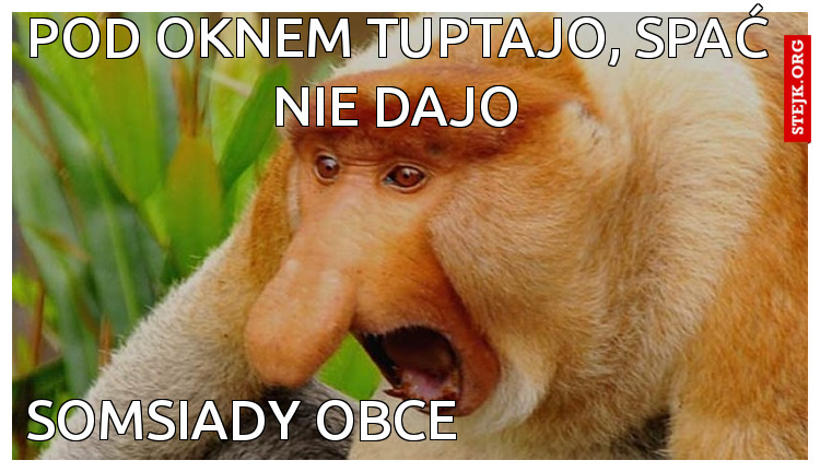 Pod oknem tuptajo, spać nie dajo